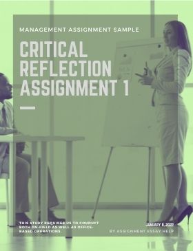 critical reflection assignment